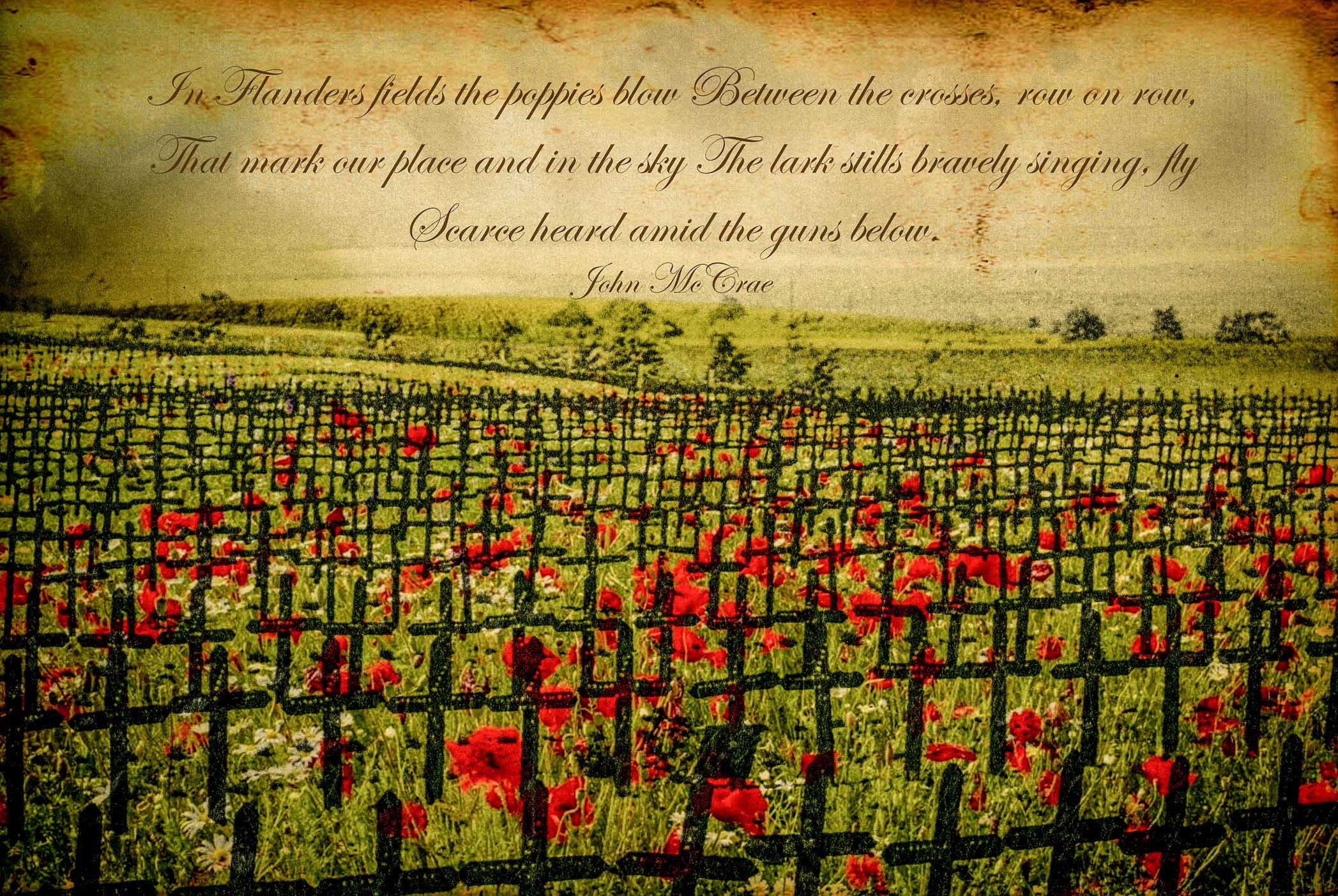  Field of  heroes 
